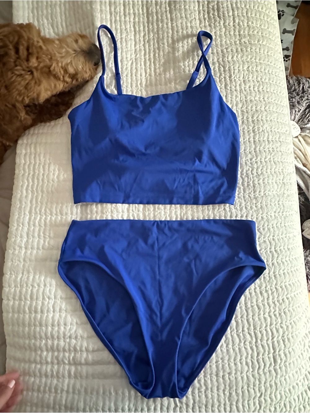 Athleta Royal Blue High-Waist Bikini Set